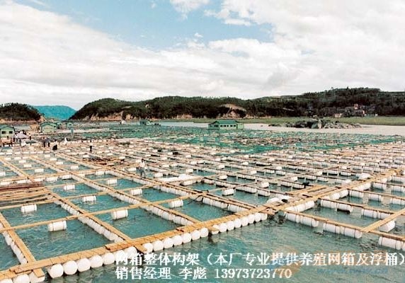【养鱼-养鱼技术-网箱养鱼-养鱼成本设备-池塘