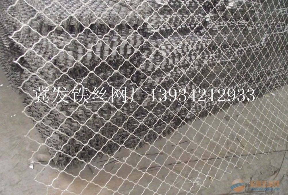 IMG120304101554187415.jpg