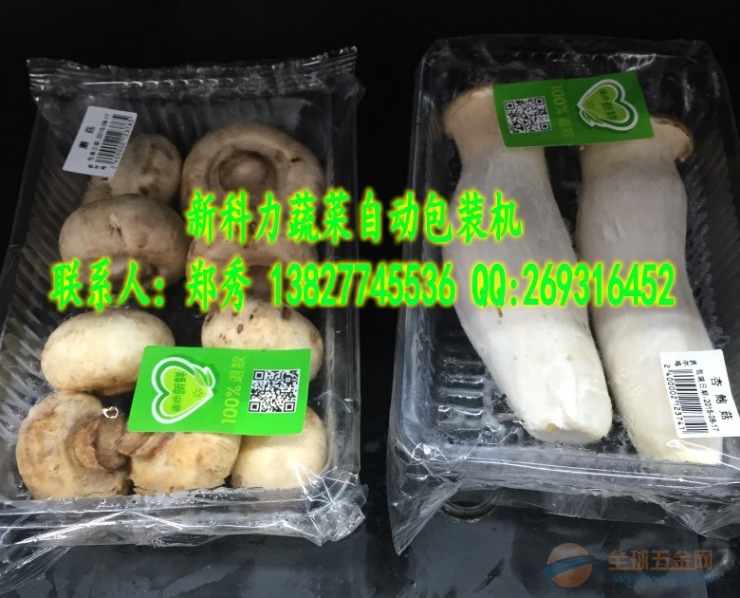 IMG150929201335864078.jpg