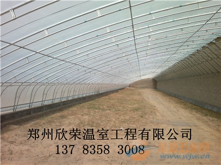 花大钱建出“病棚仔”？做了半辈子农资才敢说的日光温室设计方案避坑指南